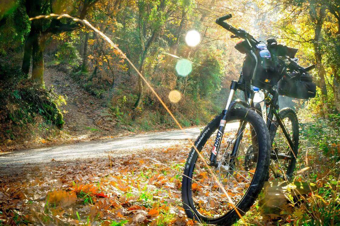 bæredygtigthed bikerunner cykel i skogen